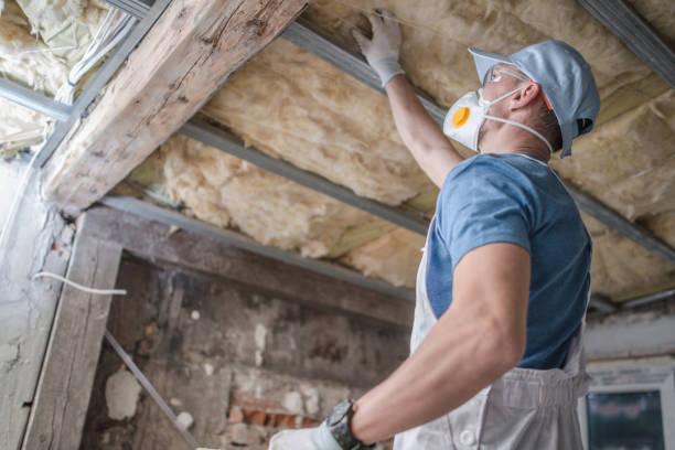 Best Eco-Friendly Insulation in Old Tappan, NJ
